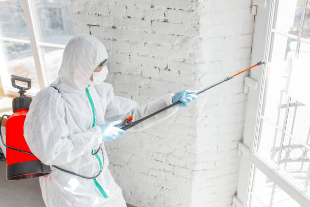 Why You Should Choose Our Mold Remediation Services in Riverdale, CA